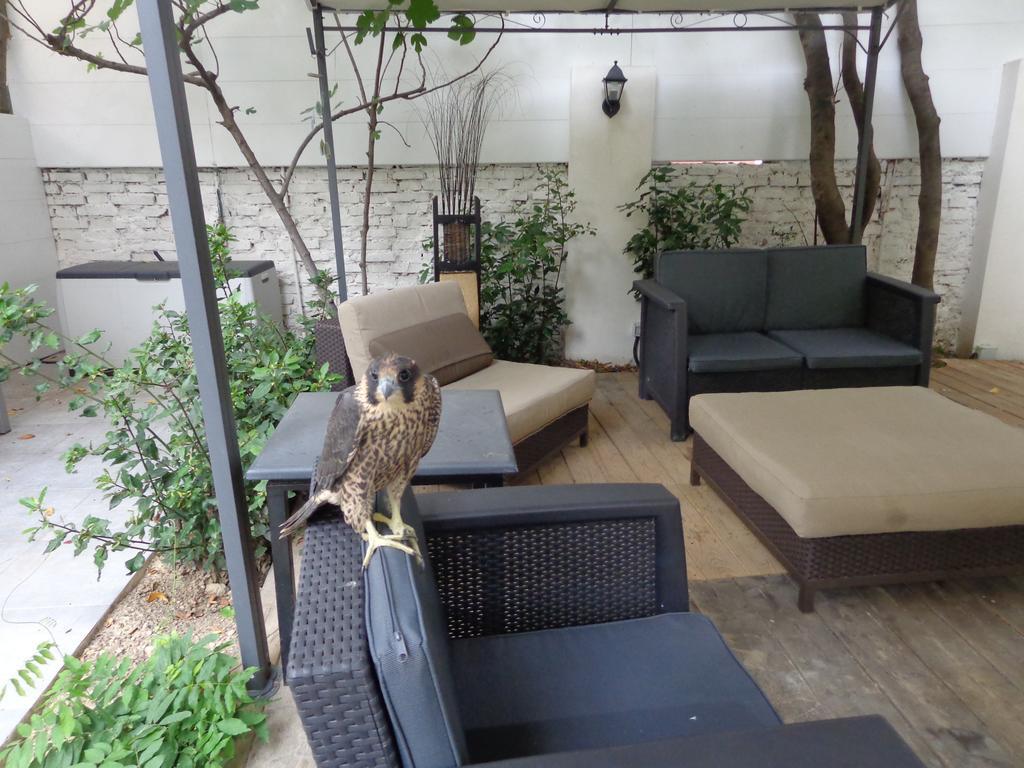 فندق Astoria Golden House روما المظهر الخارجي الصورة